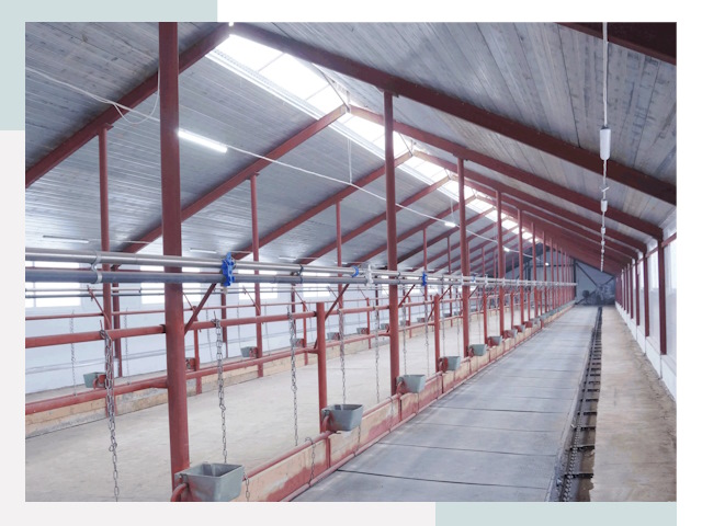 Строительство коровников в Черемхове от 626 руб.