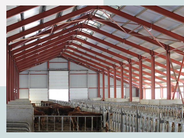 Строительство коровников в Черемхове