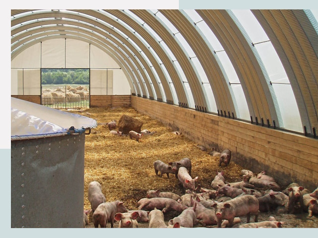 Строительство свинарников в Черемхове