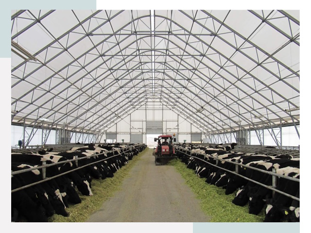 Тентовые коровники в Черемхове от 626 руб. - Надежно и доступно