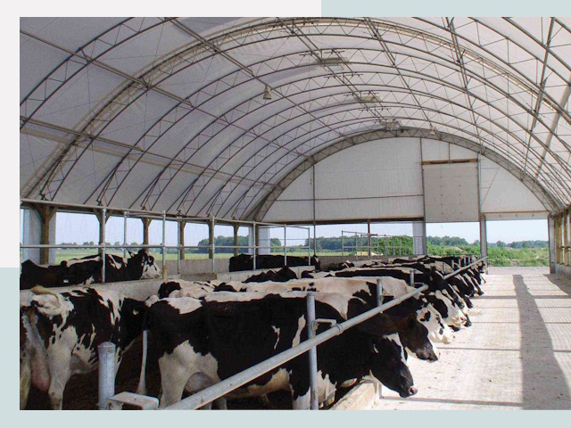 Тентовые коровники в Черемхове